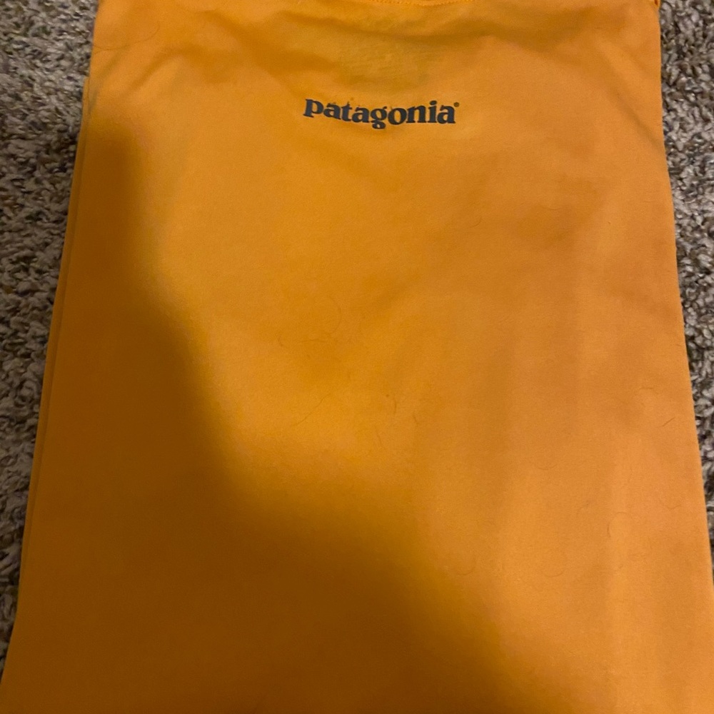 Patagonia capilene baselayer silk weight